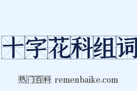 十字花科组词是什么意思的图片